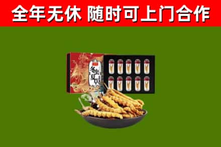 上杭回收冬虫夏草价格